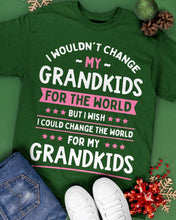 Load image into Gallery viewer, I Could Change The World For My Grandkids Guys Tee