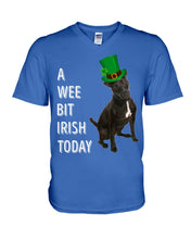 Load image into Gallery viewer, Patterdale Terrier Irish Today St. Patrick's Day Printed Mug Guys V-Neck