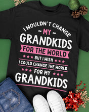Load image into Gallery viewer, I Could Change The World For My Grandkids Guys Tee
