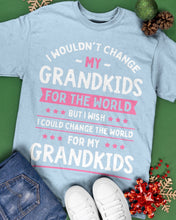Load image into Gallery viewer, I Could Change The World For My Grandkids Guys Tee