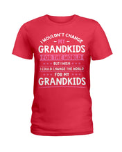Load image into Gallery viewer, I Could Change The World For My Grandkids Ladies Tee