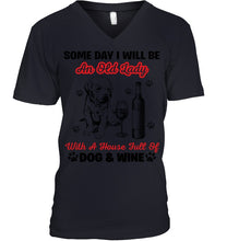 Load image into Gallery viewer, Some Day I Will Be An Old Lady With A House Full Of Dog And Wine Guys V-Neck
