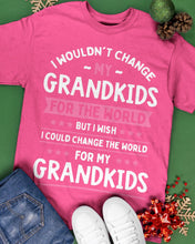 Load image into Gallery viewer, I Could Change The World For My Grandkids Guys Tee