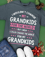 Load image into Gallery viewer, I Could Change The World For My Grandkids Guys Tee