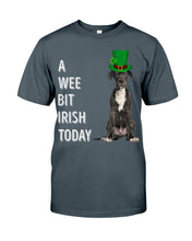 Load image into Gallery viewer, Great Dane Irish Today Green St. Patrick's Day Printed Mug Guys Tee