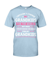 Load image into Gallery viewer, I Could Change The World For My Grandkids Guys Tee