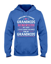 Load image into Gallery viewer, I Could Change The World For My Grandkids Hoodie