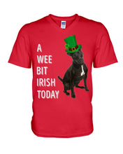 Load image into Gallery viewer, Patterdale Terrier Irish Today St. Patrick's Day Printed Mug Guys V-Neck