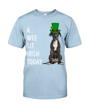 Load image into Gallery viewer, Great Dane Irish Today Green St. Patrick's Day Printed Mug Guys Tee
