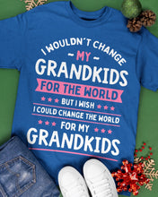 Load image into Gallery viewer, I Could Change The World For My Grandkids Guys Tee
