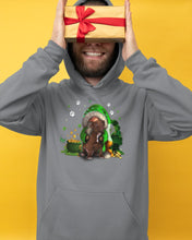Load image into Gallery viewer, Gnome And Pitbull Coins And Pot Of Gold St Patrick's Day Gift Hoodie
