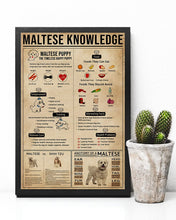 Load image into Gallery viewer, Vintage Design Something You Should Know About Maltese Knowledge Dogs Vertical Poster
