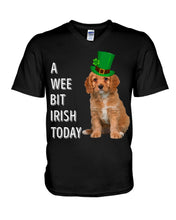 Load image into Gallery viewer, Cavapoo Irish Today Green St. Patrick's Day Printed Mug Guys V-Neck
