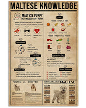 Load image into Gallery viewer, Vintage Design Something You Should Know About Maltese Knowledge Dogs Vertical Poster
