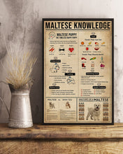 Load image into Gallery viewer, Vintage Design Something You Should Know About Maltese Knowledge Dogs Vertical Poster
