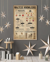 Load image into Gallery viewer, Vintage Design Something You Should Know About Maltese Knowledge Dogs Vertical Poster
