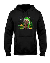 Load image into Gallery viewer, Gnome And Pitbull Coins And Pot Of Gold St Patrick's Day Gift Hoodie
