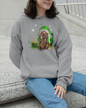 Load image into Gallery viewer, Gnome And Pitbull Coins And Pot Of Gold St Patrick's Day Gift Hoodie
