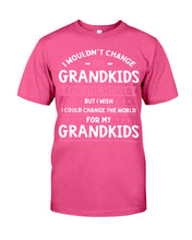 Load image into Gallery viewer, I Could Change The World For My Grandkids Guys Tee
