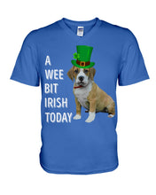 Load image into Gallery viewer, Beabull Irish Today Green St. Patrick's Day Printed Mug Guys V-Neck
