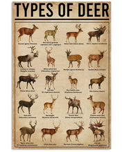 Load image into Gallery viewer, Types Of Deer Gift For Deer Lovers Vertical Poster

