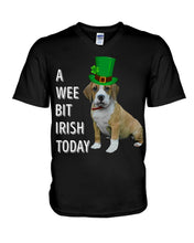 Load image into Gallery viewer, Beabull Irish Today Green St. Patrick's Day Printed Mug Guys V-Neck
