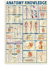 Load image into Gallery viewer, Something You Should Know About Paramedic Anatomy Knowledge Vertical Poster
