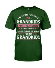 Load image into Gallery viewer, I Could Change The World For My Grandkids Guys Tee
