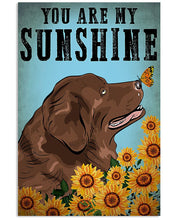 Load image into Gallery viewer, Newfoundland You Are My Sunshine Gift For Dog Lovers Vertical Poster
