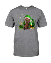 Load image into Gallery viewer, Gnome And Pitbull Coins And Pot Of Gold St Patrick's Day Gift Guys Tee
