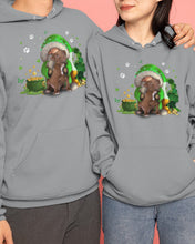 Load image into Gallery viewer, Gnome And Pitbull Coins And Pot Of Gold St Patrick's Day Gift Hoodie
