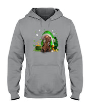 Load image into Gallery viewer, Gnome And Pitbull Coins And Pot Of Gold St Patrick's Day Gift Hoodie
