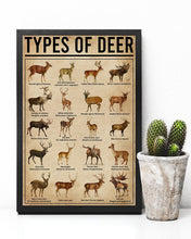 Load image into Gallery viewer, Types Of Deer Gift For Deer Lovers Vertical Poster
