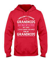 Load image into Gallery viewer, I Could Change The World For My Grandkids Hoodie
