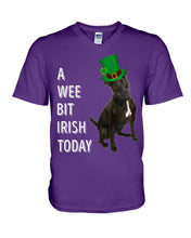 Load image into Gallery viewer, Patterdale Terrier Irish Today St. Patrick's Day Printed Mug Guys V-Neck

