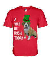 Load image into Gallery viewer, Beabull Irish Today Green St. Patrick's Day Printed Mug Guys V-Neck
