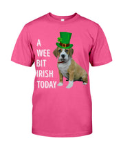 Load image into Gallery viewer, Beabull Irish Today Green St. Patrick's Day Printed Mug Guys Tee

