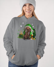 Load image into Gallery viewer, Gnome And Pitbull Coins And Pot Of Gold St Patrick's Day Gift Hoodie
