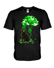 Load image into Gallery viewer, Standard Poodle Patrick Balloons St. Patrick's Day Color Changing Mug Guys V-Neck
